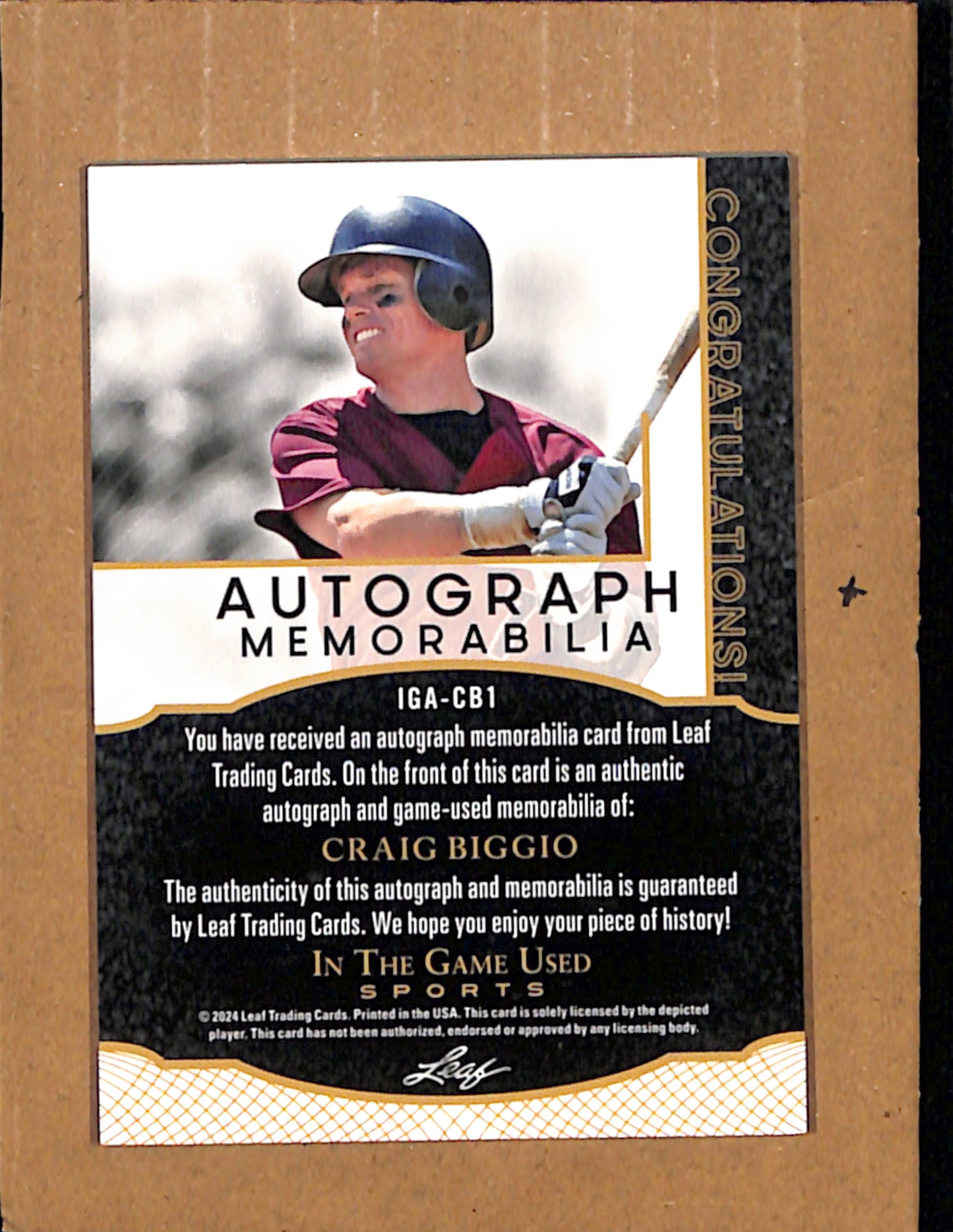 2024 Leaf Auto Rainbow HoloFoil #IGA-CB1 Craig Biggio NMT CS26017881