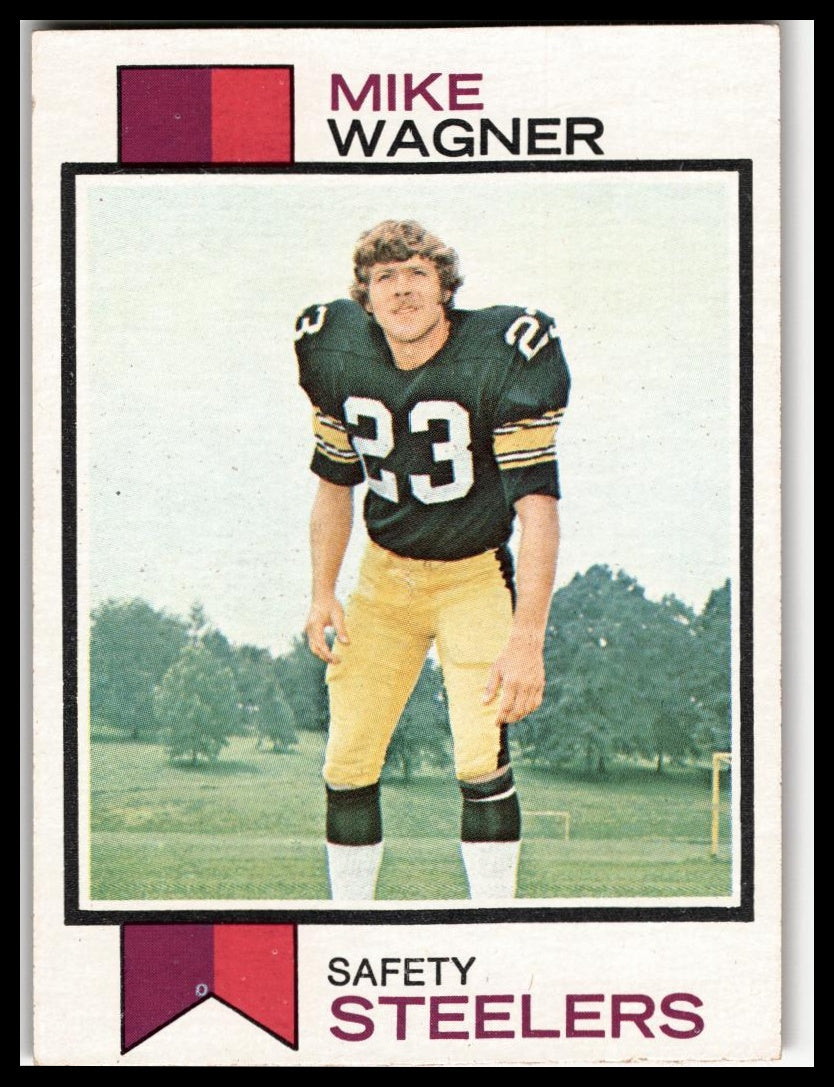 1973 Topps #246 Mike Wagner Excellent