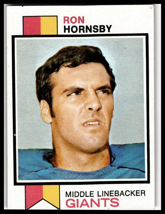1973 Topps #256 Ron Hornsby Excellent