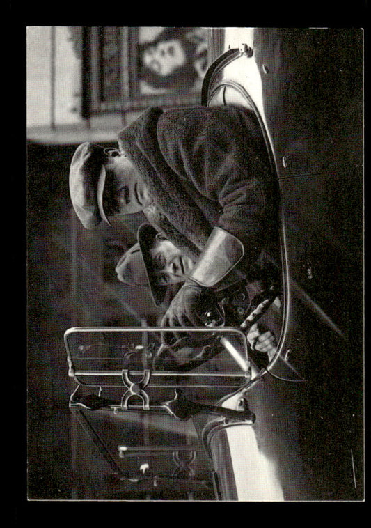 1992 Megacards Babe Ruth #5 Ruthian shots