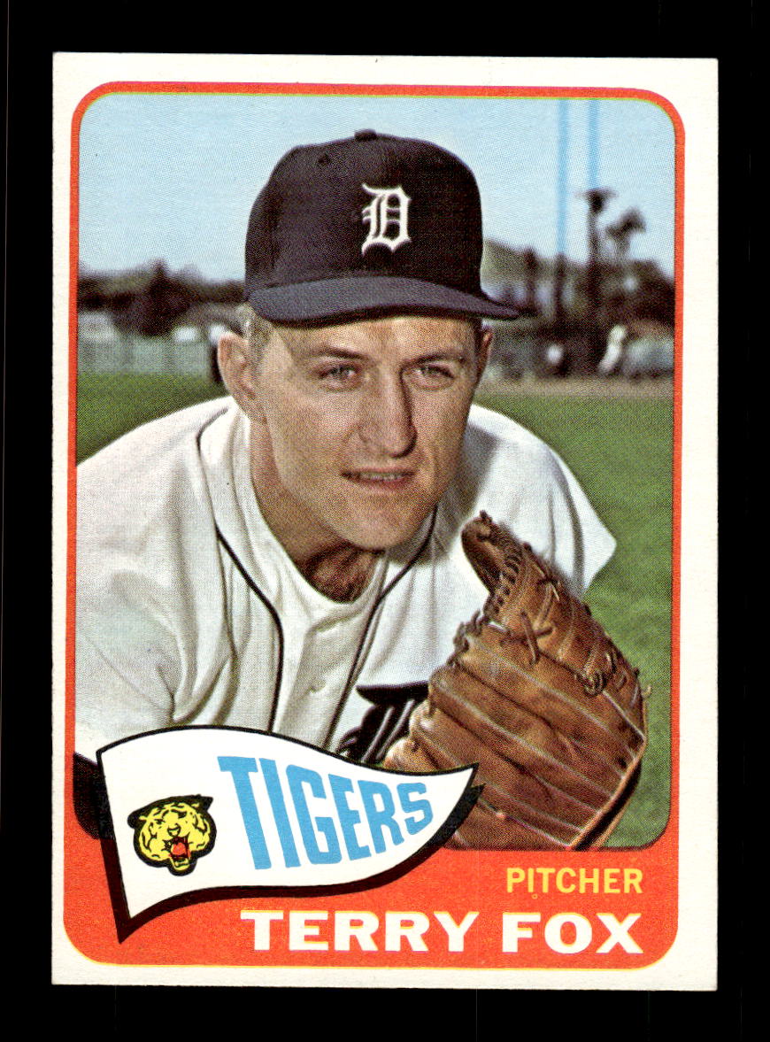 1965 Topps #576 Terry Fox Detroit Tigers EXMT CS26015804