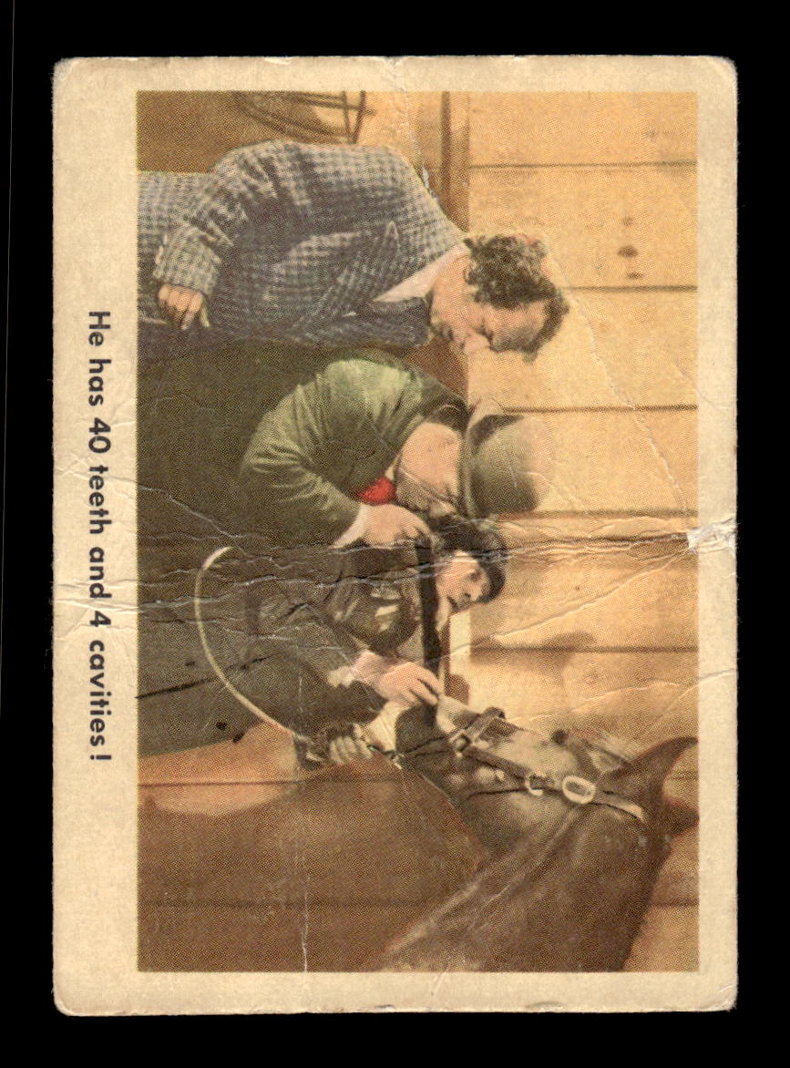 1959 Fleer The Three Stooges #66 He has 40 teeth and 4 cavities! VG CS26016363