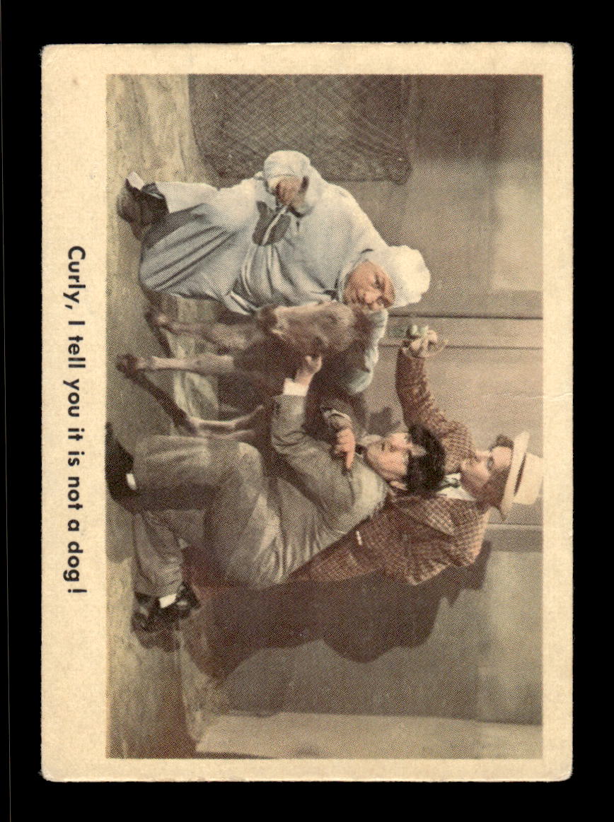 1959 Fleer The Three Stooges #67 It is not a dog! VG CS26016364