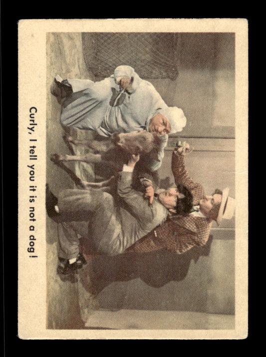 1959 Fleer The Three Stooges #67 It is not a dog! VG CS26016364
