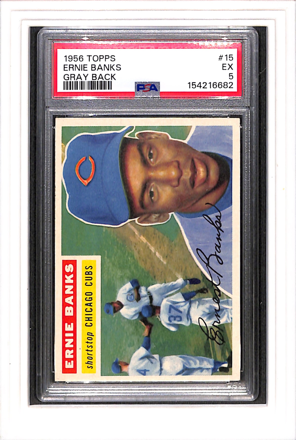 1956 Topps #15 Ernie Banks Gray Back PSA 5 SN 154216682