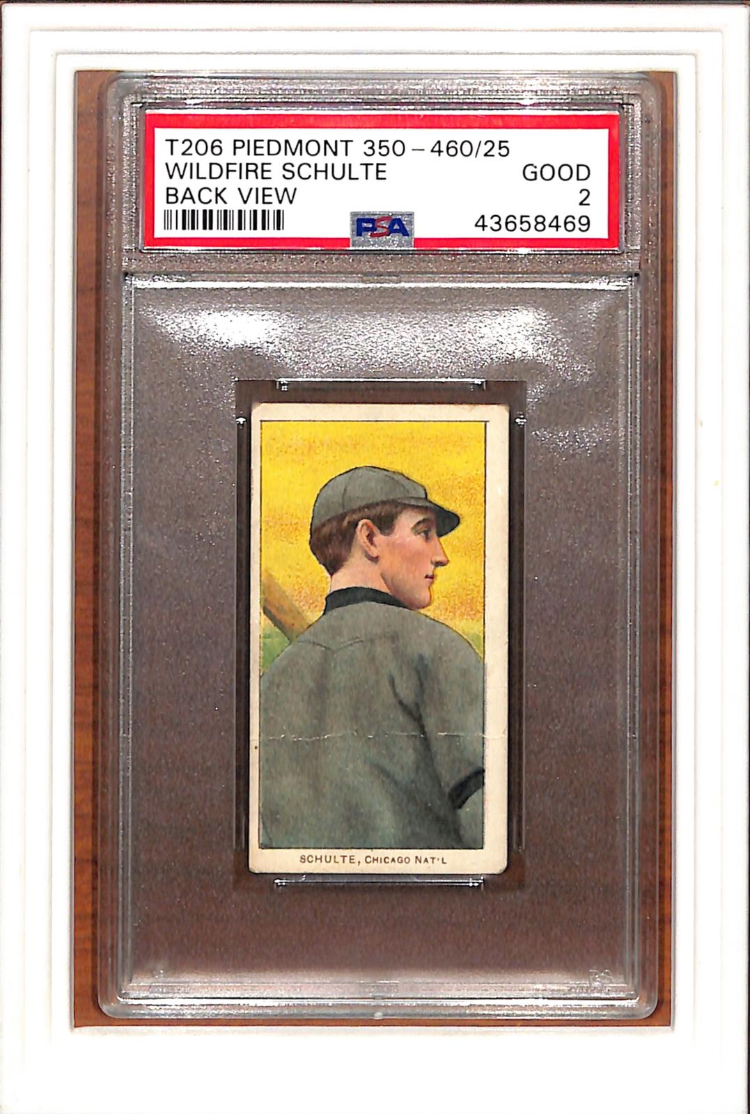 1909-11 T206 Piedmont 350-460/25 # Wildfire Schulte Back View PSA 2 SN 43658469